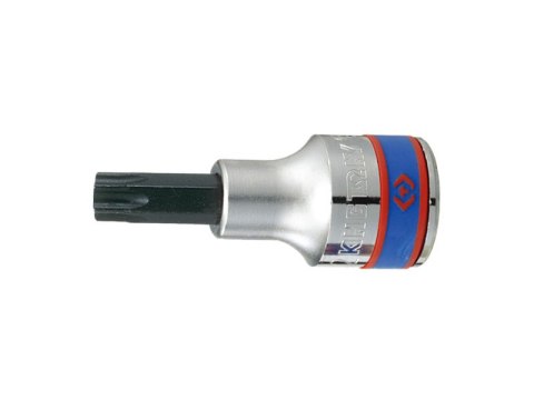 NASADKA TRZPIENIOWA KRÓTKA 1/2' Z KOŃCÓWKĄ TORX T55