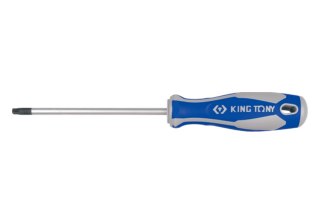 WKRĘTAK TORX Z OTWOREM T27 6.0*100