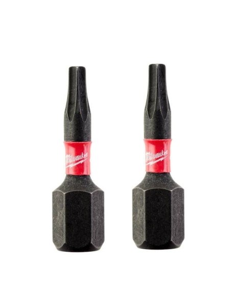 BIT, GROT, KOŃCÓWKA TORX TX10 25MM 2 SZT. BIT, GROT, KOŃCÓWKA TORX TX10 25MM 2 SZT.