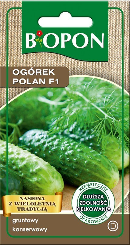 OGÓREK POLAN F1 3G OGÓREK POLAN F1 3G