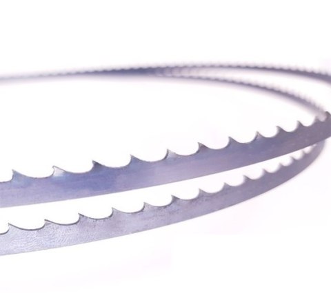 PIŁA TAŚMOWA DO DREWNA MK MORSE 13*0.64*1638MM T=8/12 PIŁA TAŚMOWA DO DREWNA MK MORSE 13*0.64*1638MM T=8/12