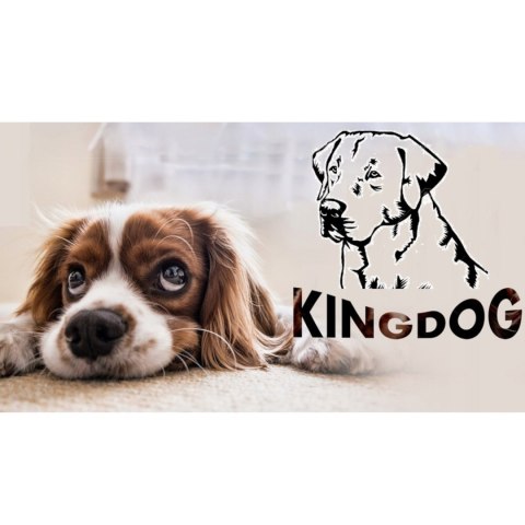 Legowisko dla psa 130 x 105Czarne KingDog Legowisko dla psa 130 x 105Czarne KingDog